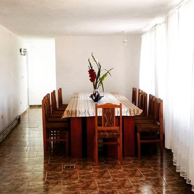 Casa Kotys Apartment Albestii Paminteni Luaran gambar