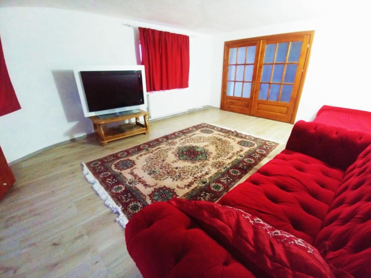 Casa Kotys Apartment Albestii Paminteni Luaran gambar