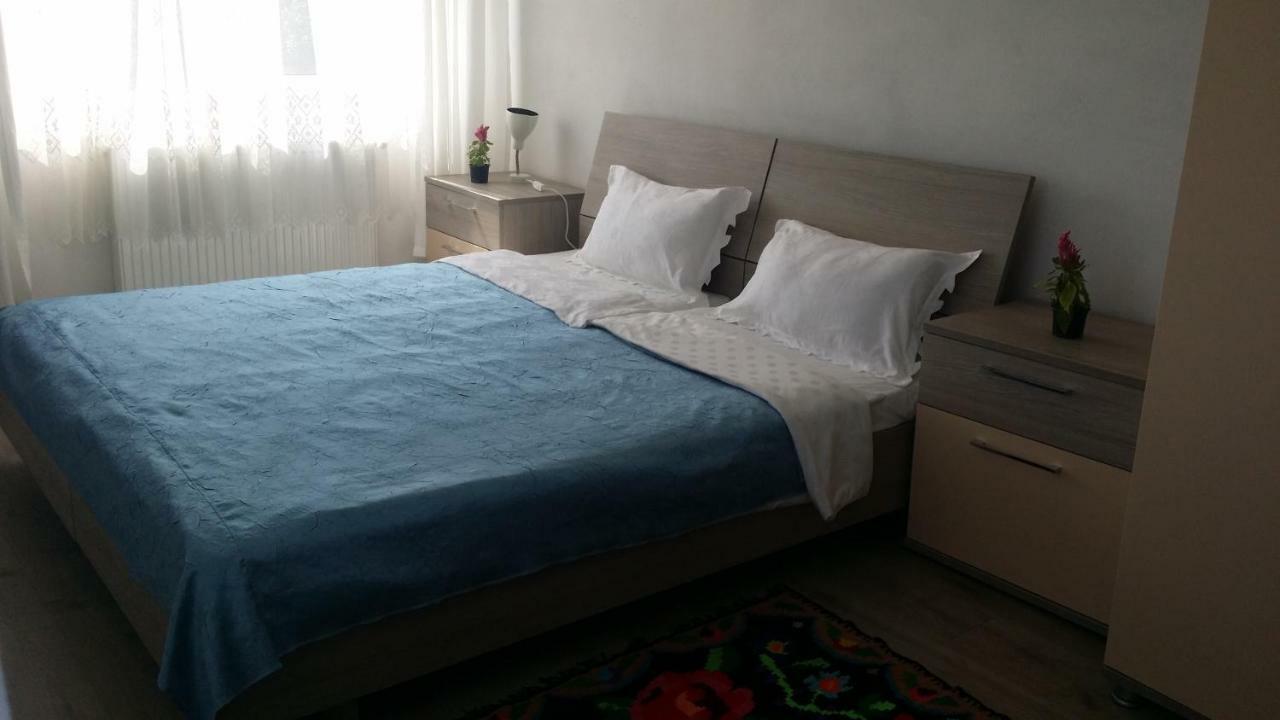 Casa Kotys Apartment Albestii Paminteni Luaran gambar
