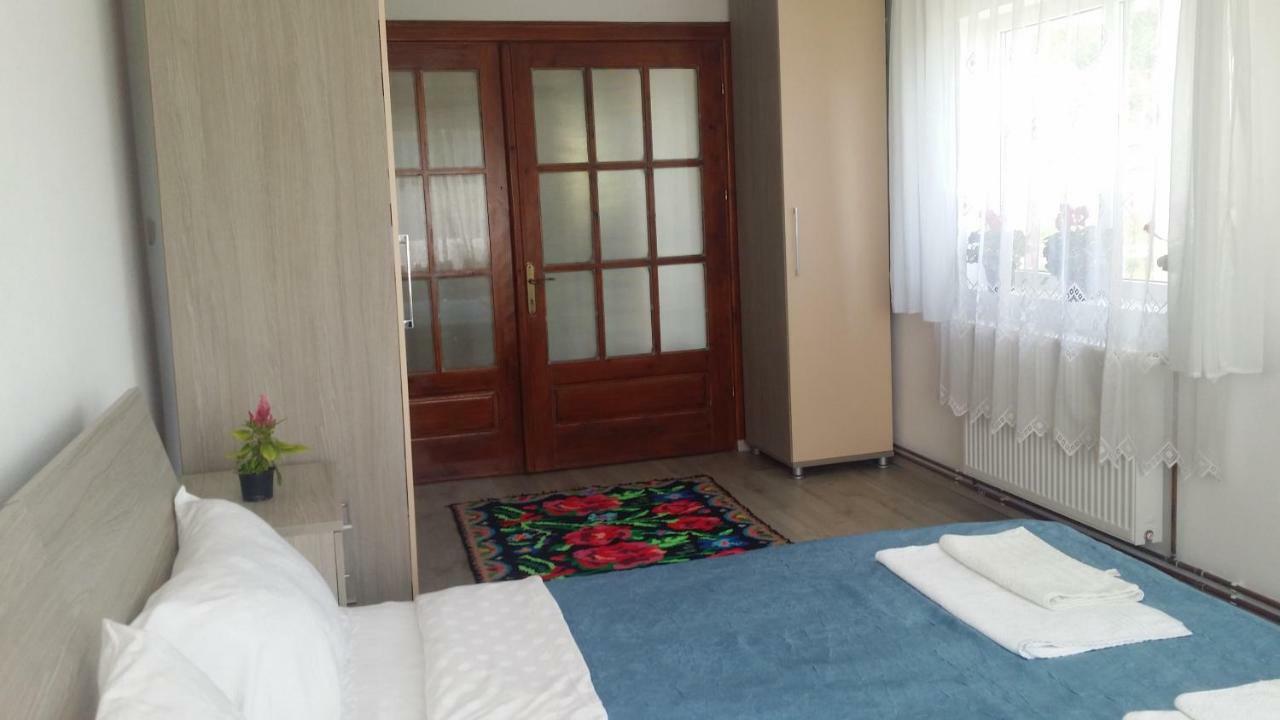 Casa Kotys Apartment Albestii Paminteni Luaran gambar